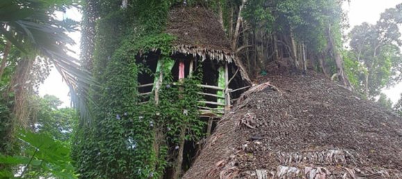 Дом с 3 спальнями в Порт-Вила, Вануату № 87 5