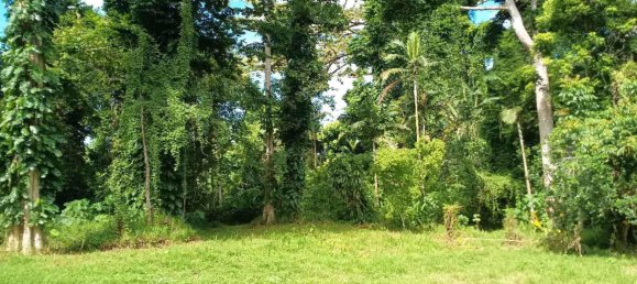 Дом с 3 спальнями в Порт-Вила, Вануату № 87 13