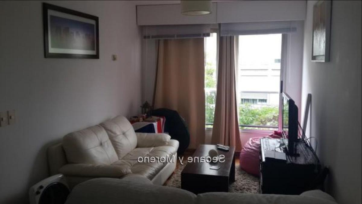 Studio in Montevideo, Uruguay No. 3640