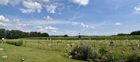 4 rooms Bungalow in Bad Waltersdorf, Austria No. 243831 17