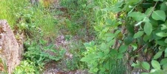 Casa de 5 divisões em Neckar-Odenwald-Kreis, Germany N.º 53022 6