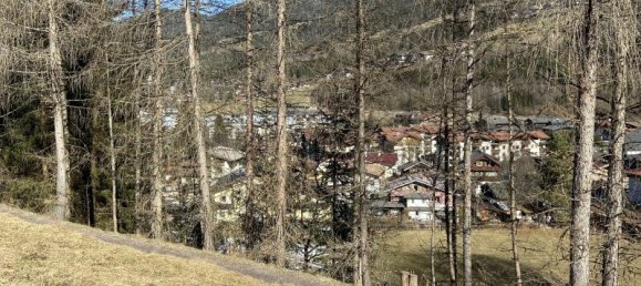  Land in Kirchberg in Tirol, Austria No. 164097 8