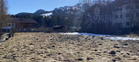  Land in Kirchberg in Tirol, Austria No. 164097 4