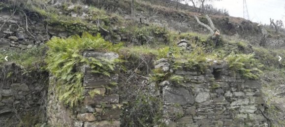 Земельный участок 10000м² в Пезу да Регуа, Португалия № 6537 2