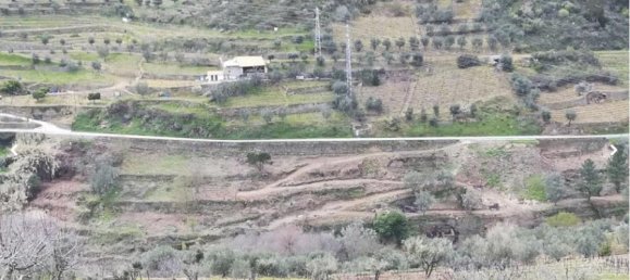 Земельный участок 10000м² в Пезу да Регуа, Португалия № 6537 7