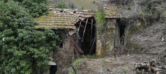 Земельный участок 10000м² в Пезу да Регуа, Португалия № 6537 4