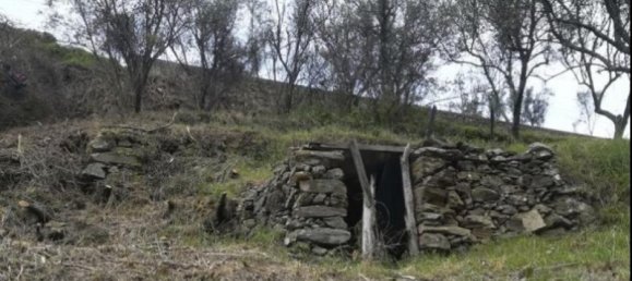 Земельный участок 10000м² в Пезу да Регуа, Португалия № 6537 5