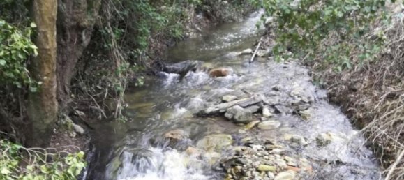 Земельный участок 10000м² в Пезу да Регуа, Португалия № 6537 3