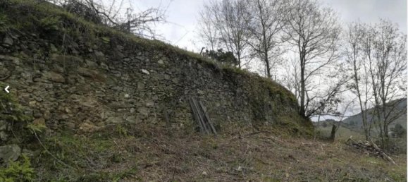 Земельный участок 10000м² в Пезу да Регуа, Португалия № 6537 6