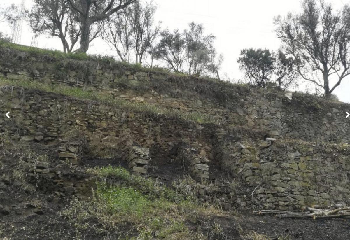 Земельный участок 10000м² в Пезу да Регуа, Португалия № 6537