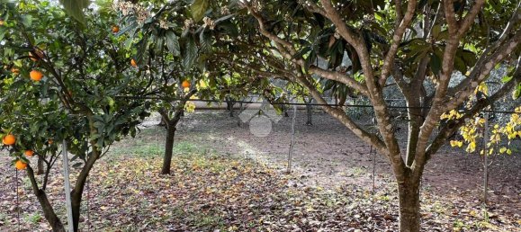 3-Zimmer Villa in Francavilla Fontana, Italy, Nr. 21896 79