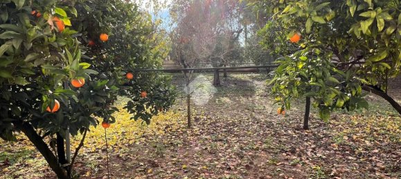 3-Zimmer Villa in Francavilla Fontana, Italy, Nr. 21896 77