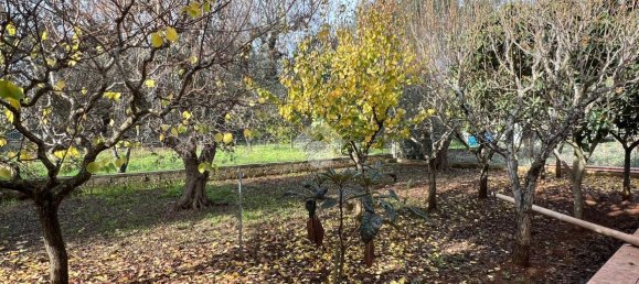 3-Zimmer Villa in Francavilla Fontana, Italy, Nr. 21896 84