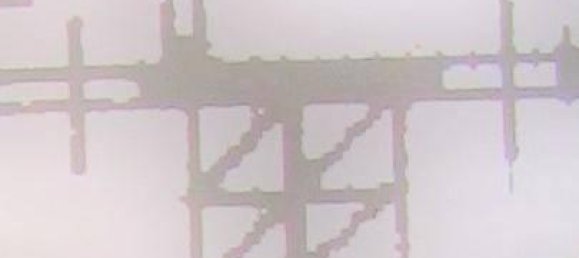 6-Zimmer Villa in Forte dei Marmi, Italy, Nr. 174726 19