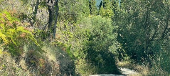 2569m² Hotel in Corfu, Greece No. 2936 22