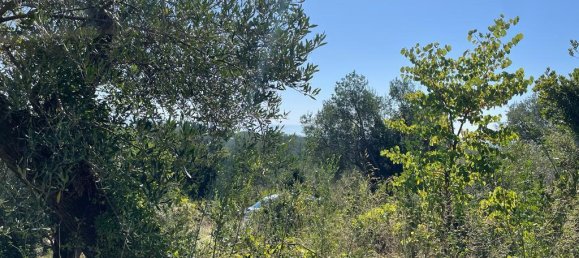 2569m² Hotel in Corfu, Greece No. 2936 19