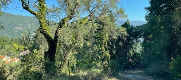 2569m² Hotel in Corfu, Greece No. 2936 24