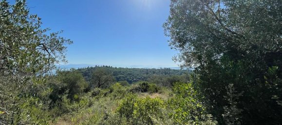 2569m² Hotel in Corfu, Greece No. 2936 14