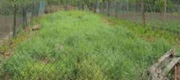 5غرفة منزل في Casatisma, Italy رقم 154190 16