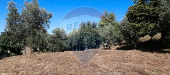 3 غرف نوم فيلا في Abadim, Portugal رقم 190036 10