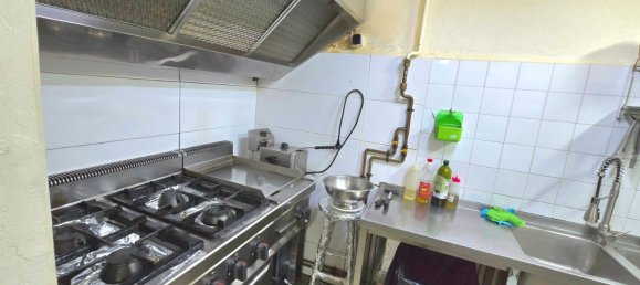 Gewerbliche Immobilie in Sants-Montjuic, Spain 250m², Nr. 68329 16