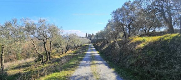 5-Zimmer Gebäude in Castelfiorentino, Italy, Nr. 280994 12