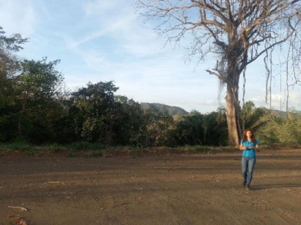  Land in Nicoya, Costa Rica No. 1595