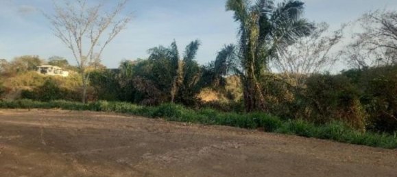  Land in Nicoya, Costa Rica No. 1595 4