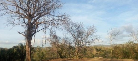  Land in Nicoya, Costa Rica No. 1595 2