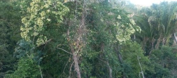  Land in Nicoya, Costa Rica No. 1595 5