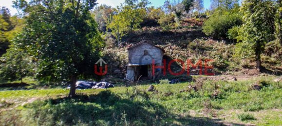 5 Schlafzimmer Haus in Cinfaes, Portugal, Nr. 44900 18