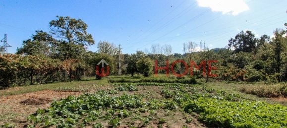 5 Schlafzimmer Haus in Cinfaes, Portugal, Nr. 44900 9