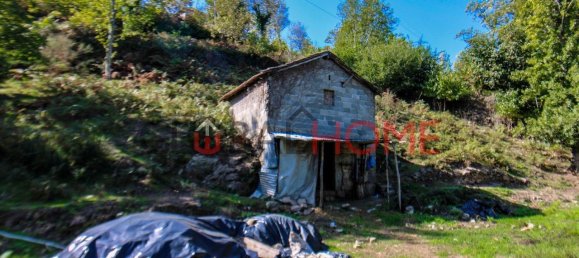 5 Schlafzimmer Haus in Cinfaes, Portugal, Nr. 44900 20