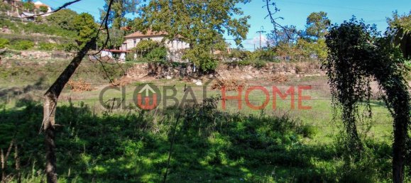 5 Schlafzimmer Haus in Cinfaes, Portugal, Nr. 44900 21