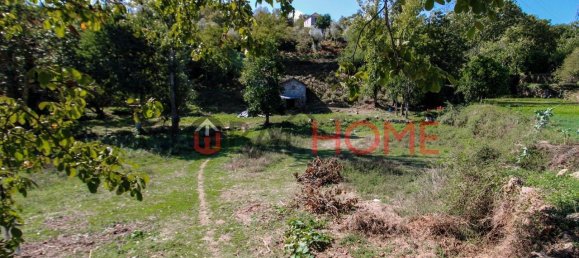 5 Schlafzimmer Haus in Cinfaes, Portugal, Nr. 44900 12