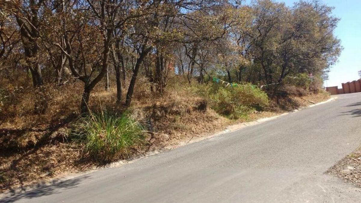 Terreno en Ciudad López Mateos, Mexico No. 205688