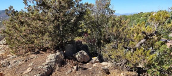 3 bedrooms Villa in Olbia, Italy No. 329332 40