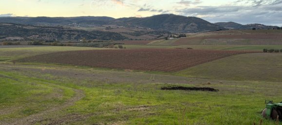 6 rooms House in Castel del Piano, Italy No. 45621 21