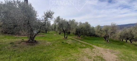 6 rooms House in Castel del Piano, Italy No. 45621 7