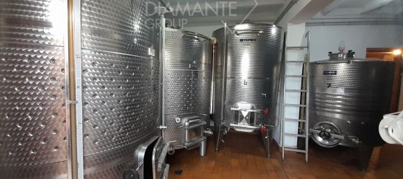 6 rooms House in Castel del Piano, Italy No. 45621 9