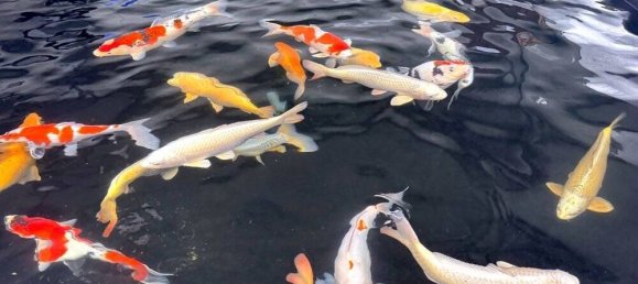 Склад 546м² в Аммерланд, Германия № 155765 7