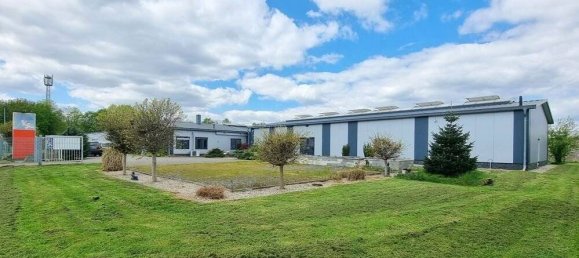 Склад 546м² в Аммерланд, Германия № 155765 2