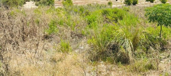  Land in La Marina, Spain No. 152800 21