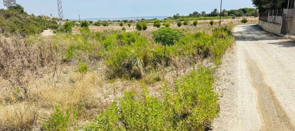  Land in La Marina, Spain No. 152800 7