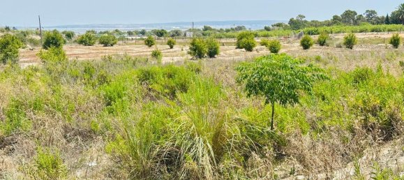  Land in La Marina, Spain No. 152800 2
