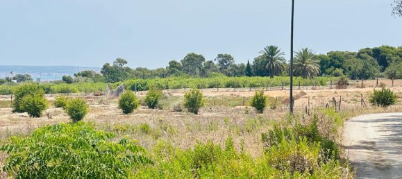  Land in La Marina, Spain No. 152800 10