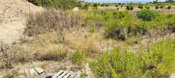  Land in La Marina, Spain No. 152800 6