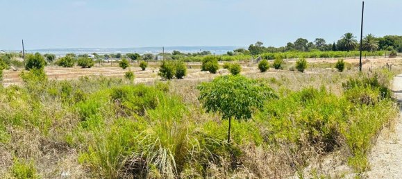  Land in La Marina, Spain No. 152800 12