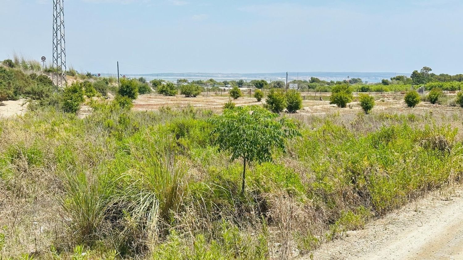  Land in La Marina, Spain No. 152800