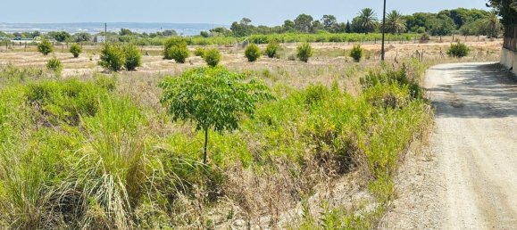  Land in La Marina, Spain No. 152800 3